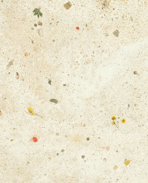 Quick Step laminált padló Muse MUS5494