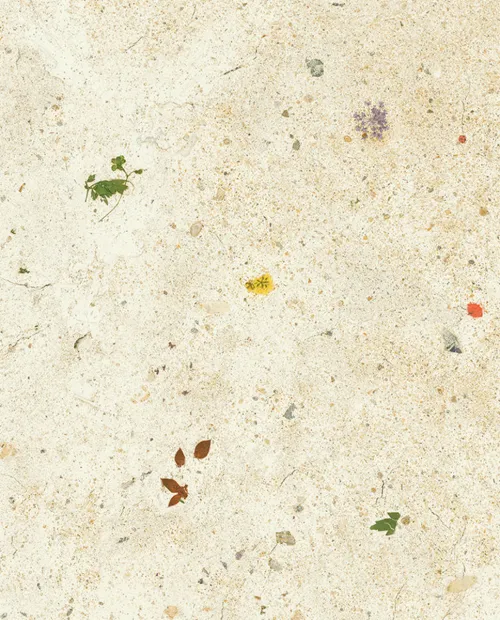 Quick Step laminált padló Muse MUS5494
