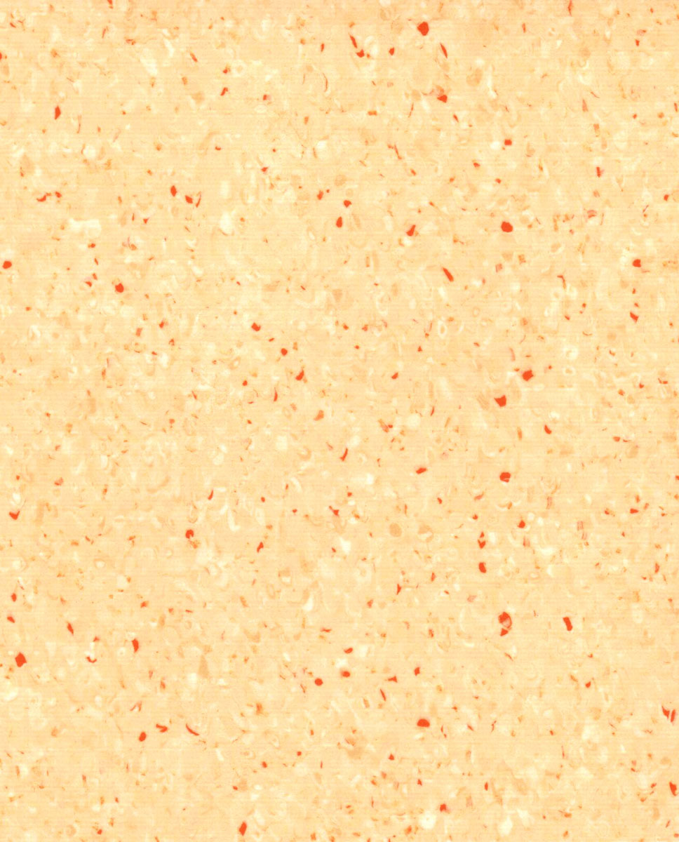  Grabo Ipari Homogén PVC padló Fortis Wild Lion 