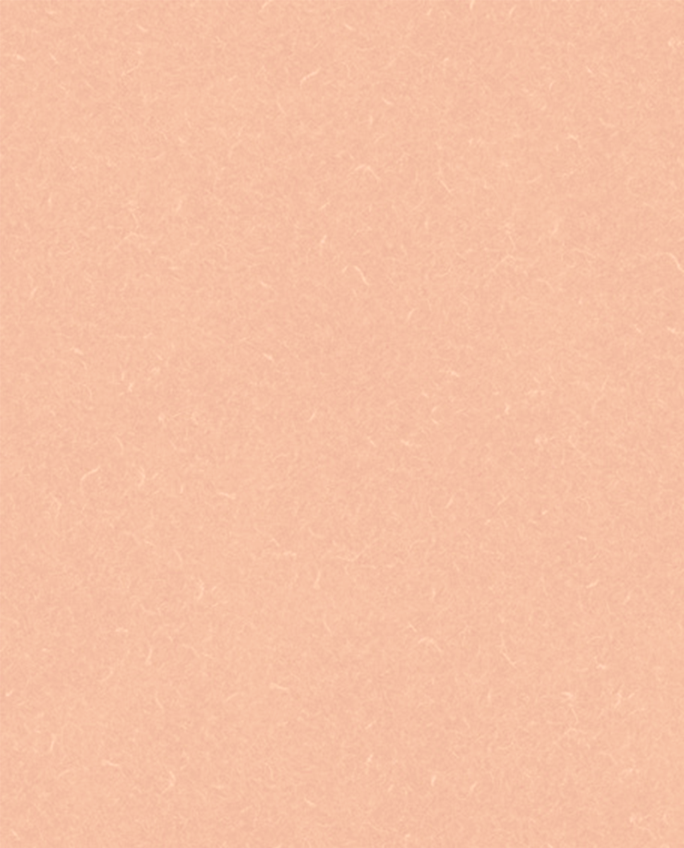 Grabo Ipari PVC padló Silver Knight 455-881